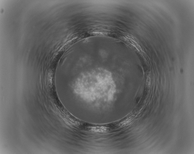 X0000087710363200705181850