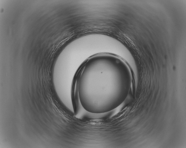 X0000087710364200705181850