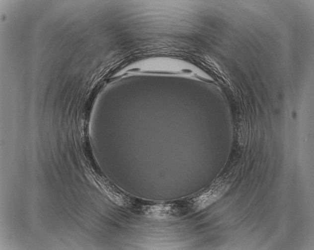 X0000087710366200705181850