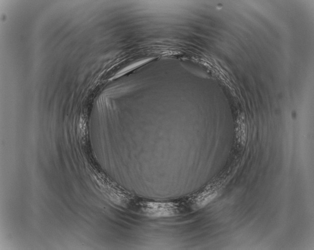 X0000087710371200705181850