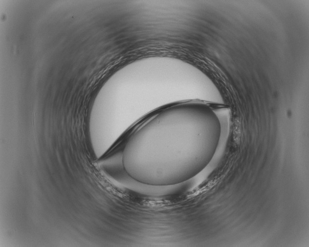 X0000087710372200705181850