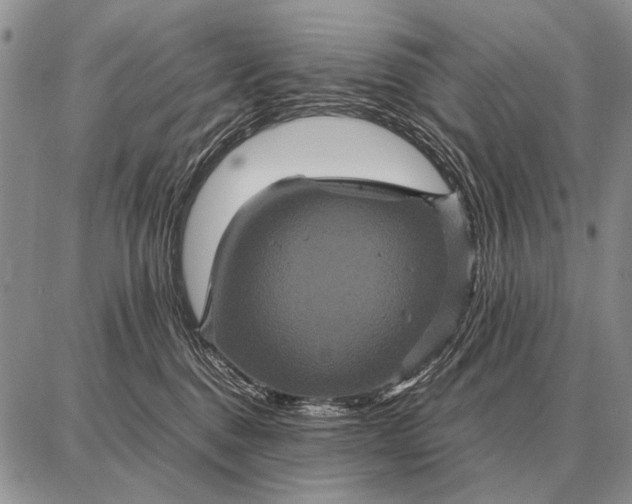 X0000087710376200705181851