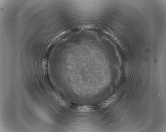 X0000087710378200705181851