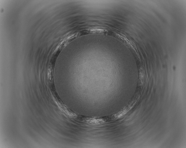X0000087710379200705181851