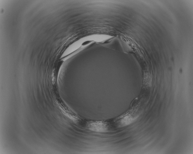 X0000087710383200705181851