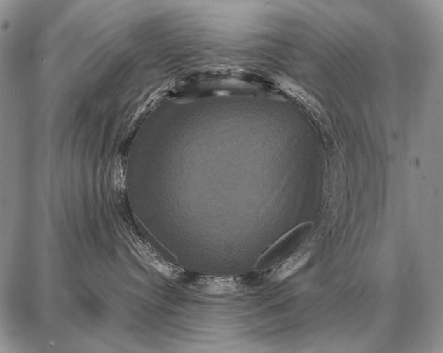 X0000087710384200705181851