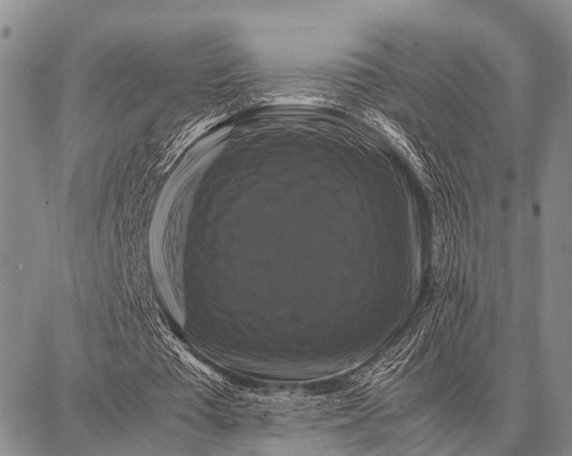 X0000087710385200705181850