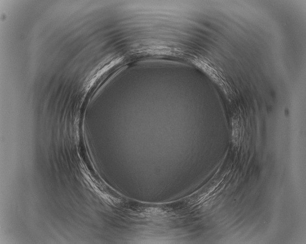 X0000087710390200705181850