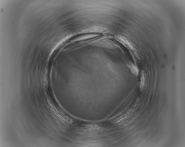 X0000087710392200705181850