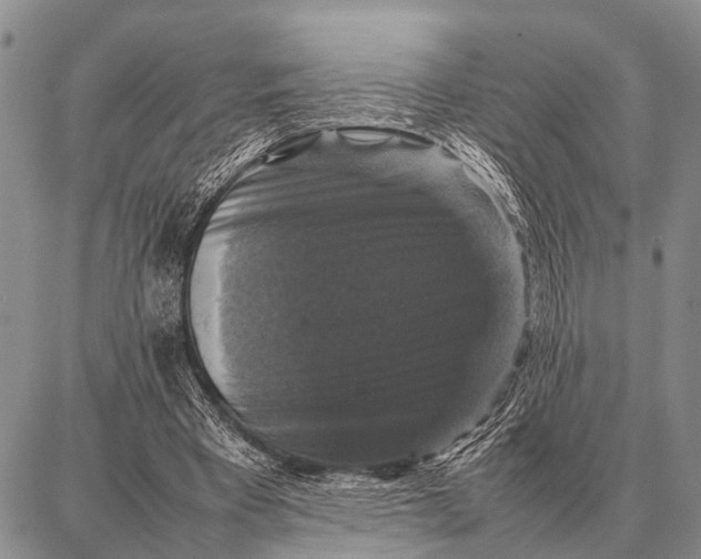 X0000087710393200705181850