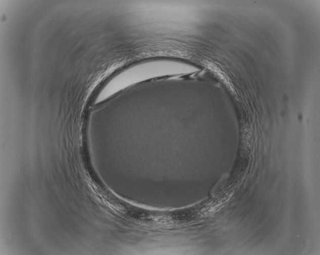 X0000087710395200705181850