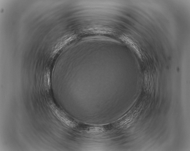 X0000087710398200705181850