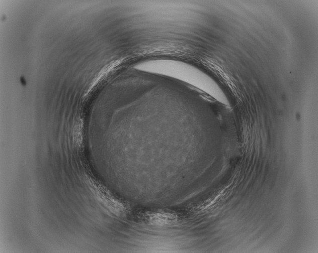X0000087710400200705181850
