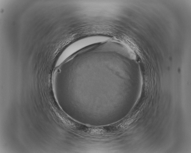 X0000087710401200705181850
