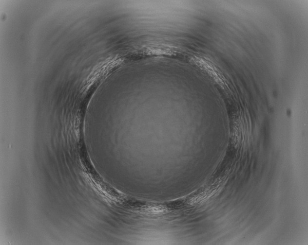 X0000087710402200705181850