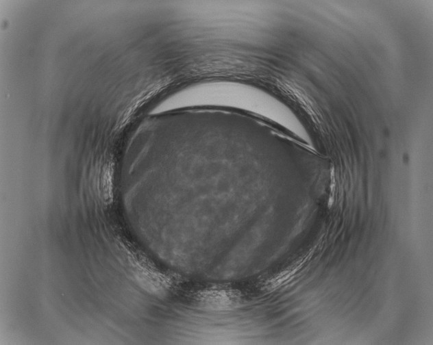 X0000087710404200705181850