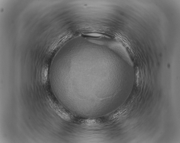 X0000087710406200705181850