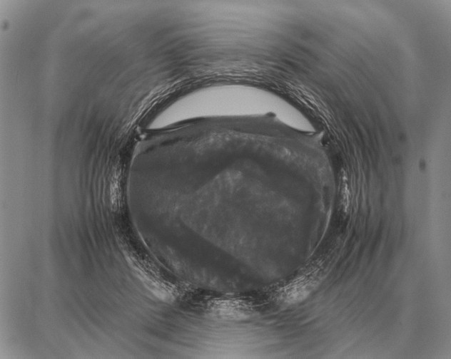 X0000087710408200705181850