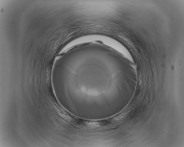 X0000087710409200705181849