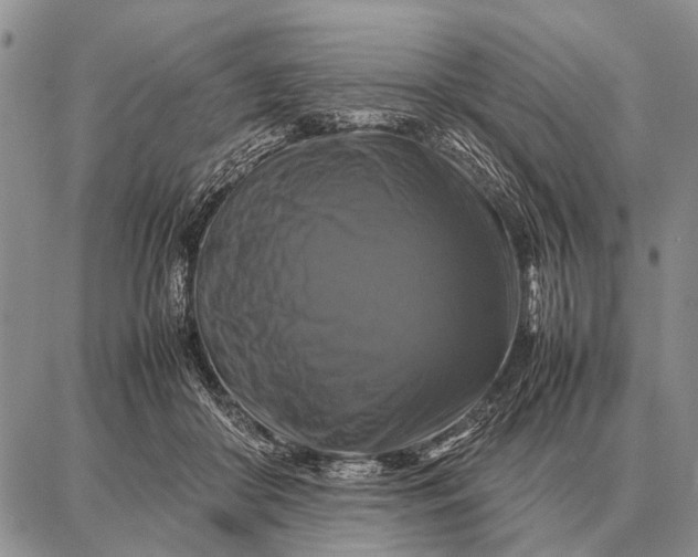 X0000087710410200705181849