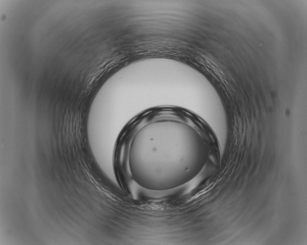 X0000087710412200705181849