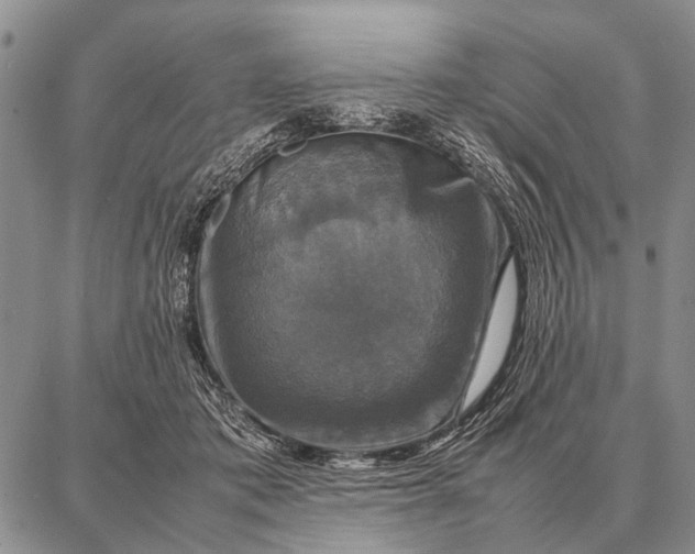 X0000087710413200705181849