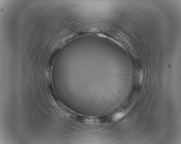 X0000087710415200705181849