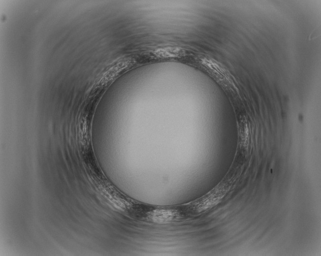 X0000087710418200705181849