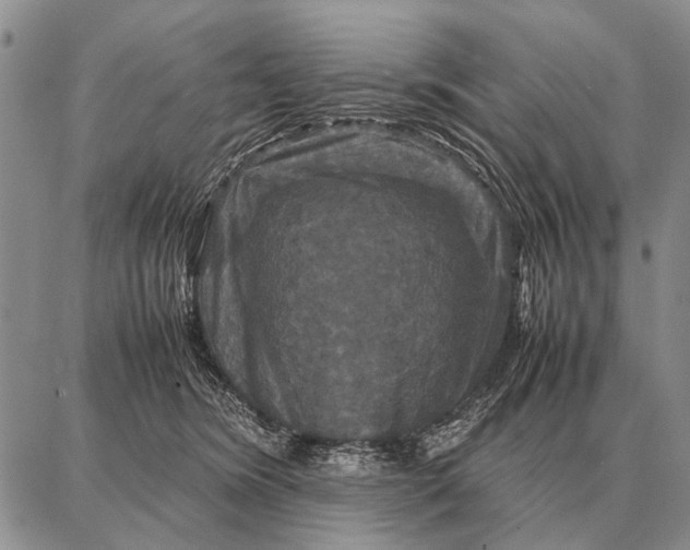 X0000087710420200705181849