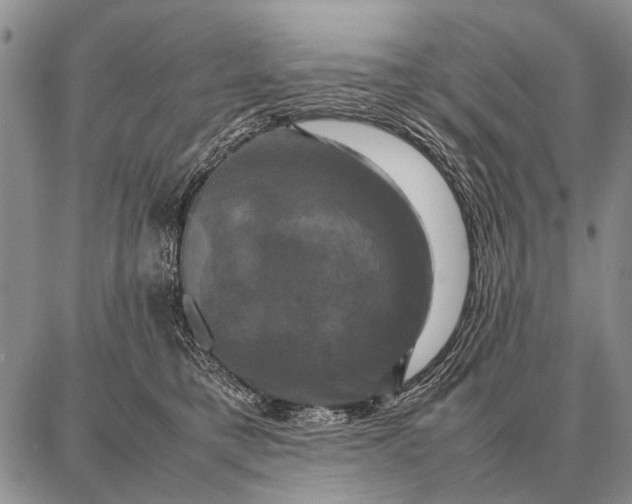 X0000087710421200705181849