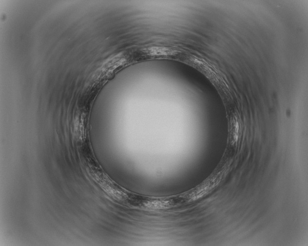X0000087710422200705181849
