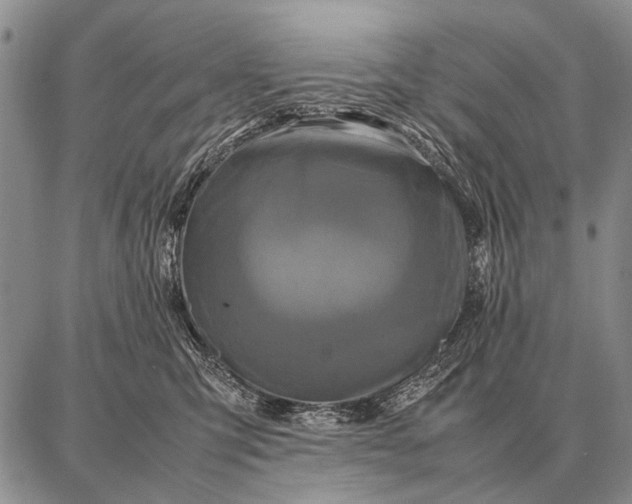 X0000087710423200705181849