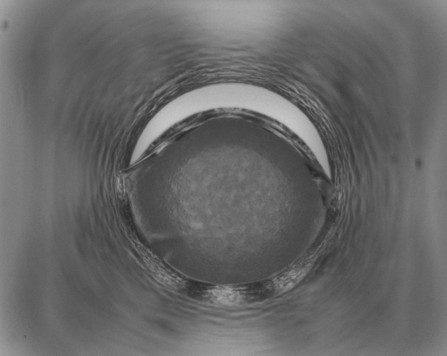 X0000087710425200705181849