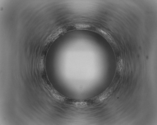 X0000087710426200705181849
