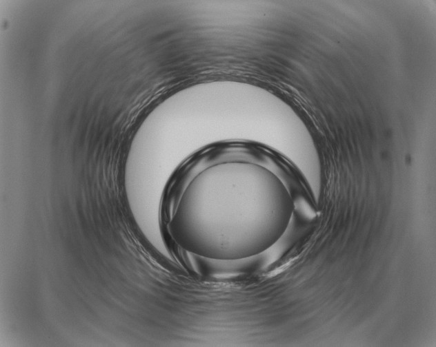 X0000087710428200705181849