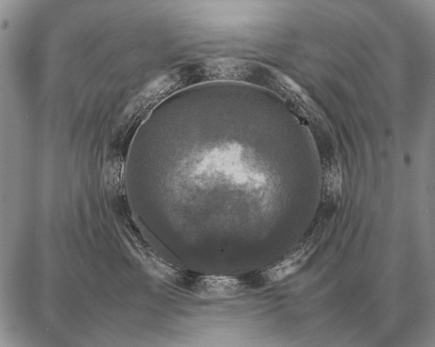 X0000087710429200705181849
