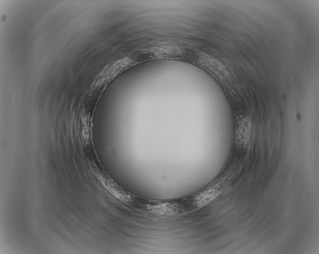 X0000087710430200705181849