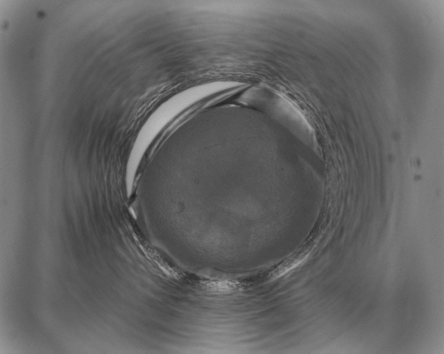 X0000087710432200705181849