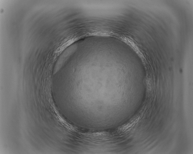 X0000087710433200705181848
