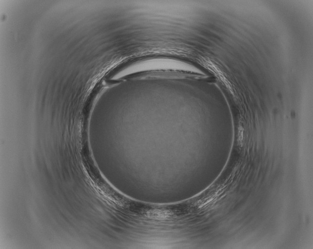 X0000087710444200705181849