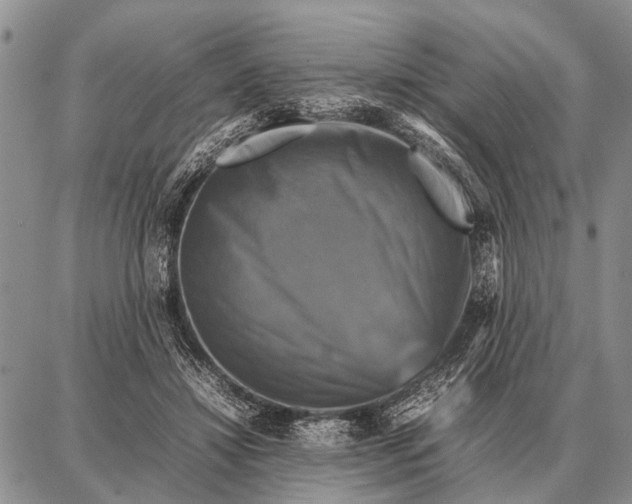 X0000087710452200705181849
