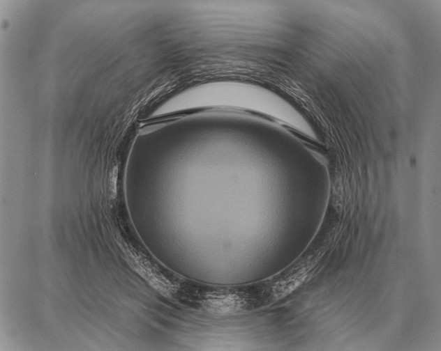 X0000087710454200705181849