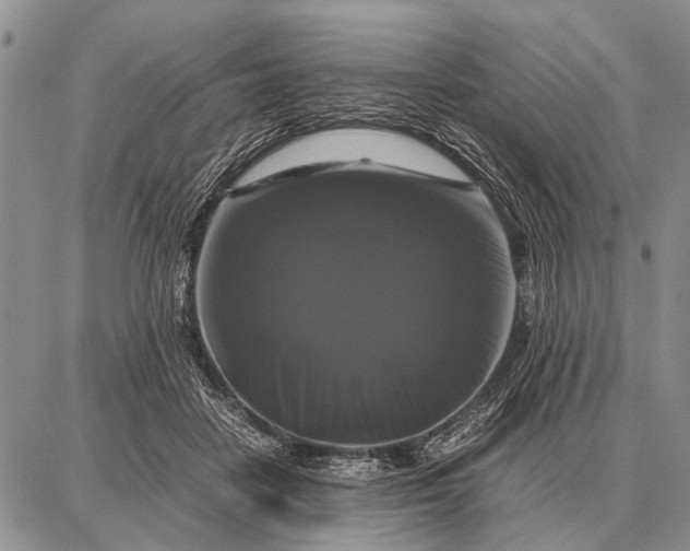 X0000087710458200705181849