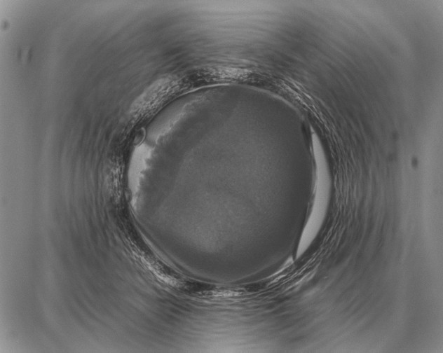 X0000087710462200705181849