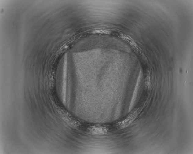 X0000087710464200705181849
