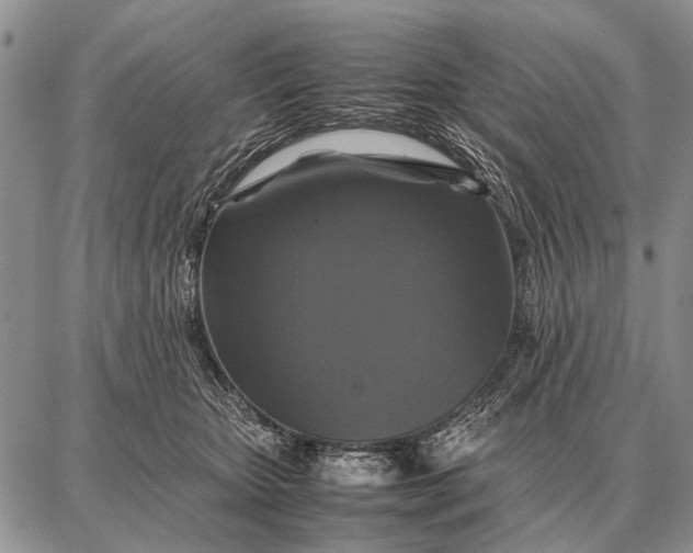 X0000087710467200705181849