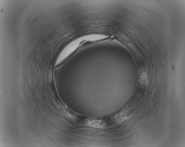 X0000087710471200705181849