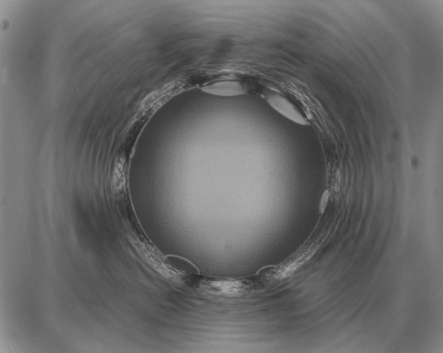 X0000087710478200705181849