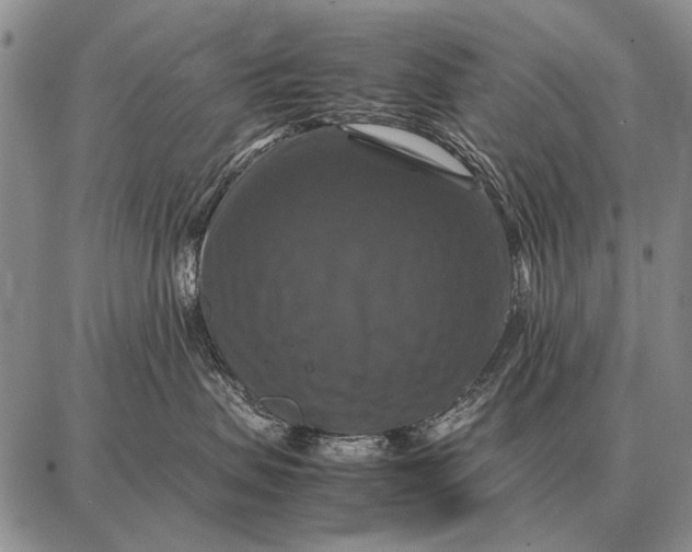 X0000087710479200705181849