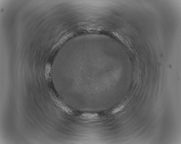 X0000087710480200705181849